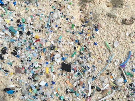Opinion If Were Going To Save Our Oceans From Plastics We Have To