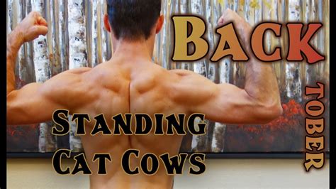 Backtober Standing Cat Cows Youtube