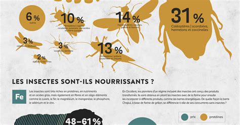 Infographie Les Insectes Vont Ils Nourrir La Planète