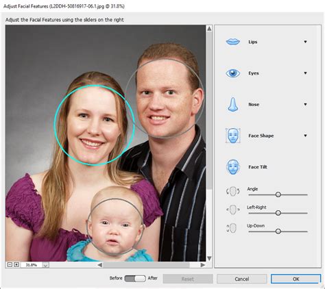 Photoshop Elements 2021 Editor De Fotos Nuevo Crehana Para Empresas