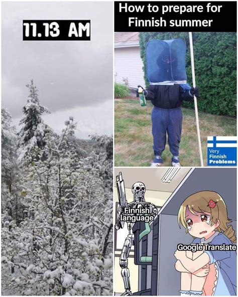Users Share The Reality Of Living In Finland Through Jokes And Memes