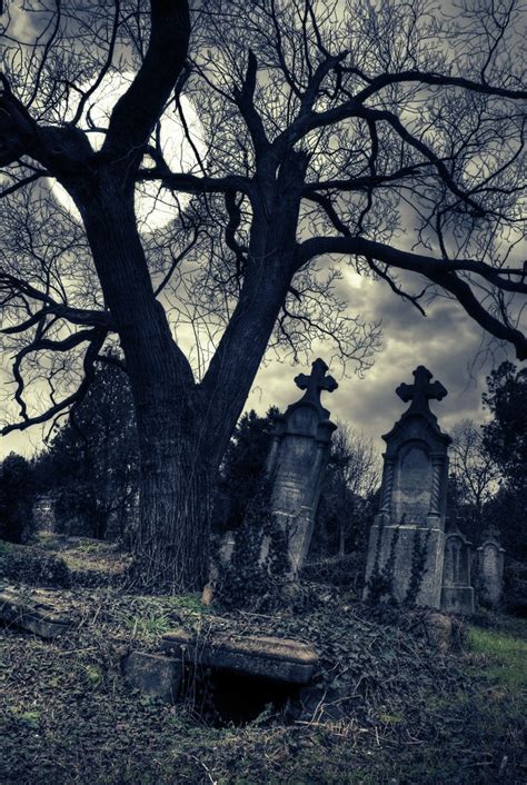 Gothic Cemetery By Moonlight Luv U 2 The Moonandback In 2019 Old