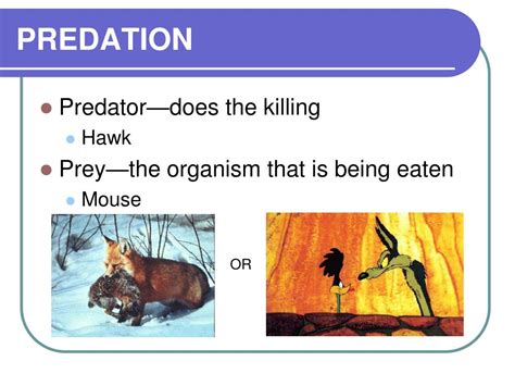 Ppt Chapter 4 Symbiotic Relationships Powerpoint Presentation Free