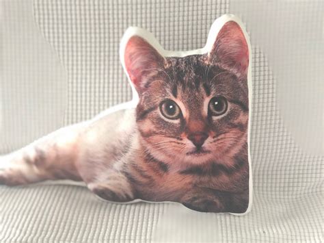 Create A Custom Cat Pillow Dream A Pillow