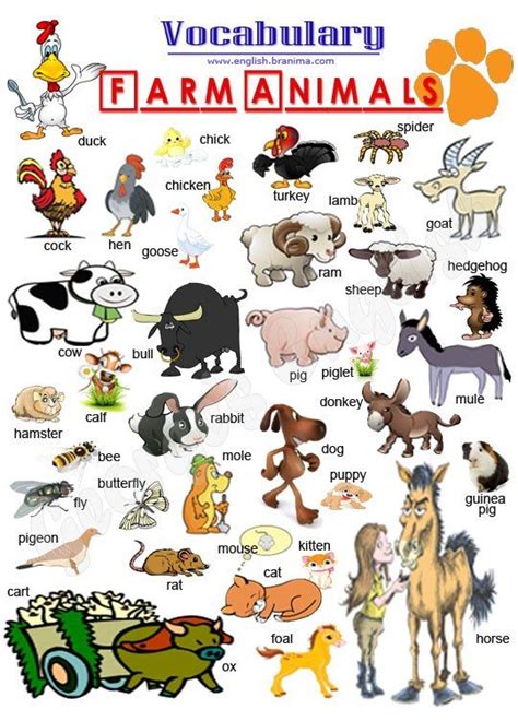 Efl Practice Vocabulary Farm Animals Vocabulary Pictures