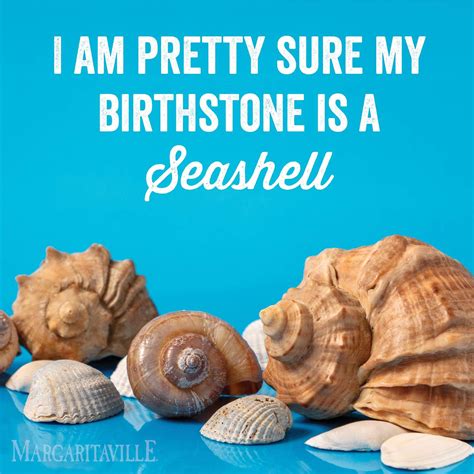 Im Pretty Sure My Birthstone Is A Seashell Beach Signs My