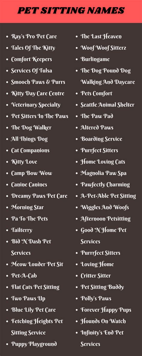 500 Catchy Pet Sitting Business Names Ideas And Suggestions