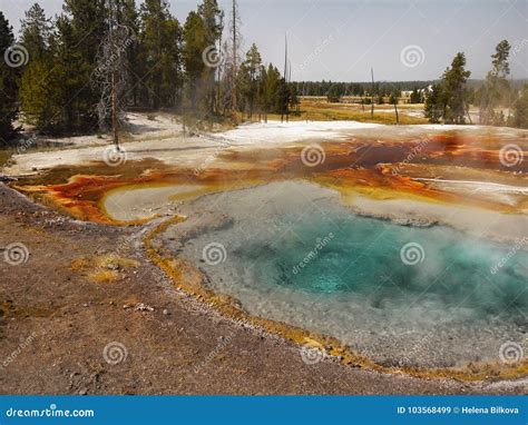 Geysers Hot Springs Yellowstone National Park Wyoming Stock Image