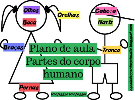 Blog Profissão Professor Plano De Aula Partes Do Corpo Humano De