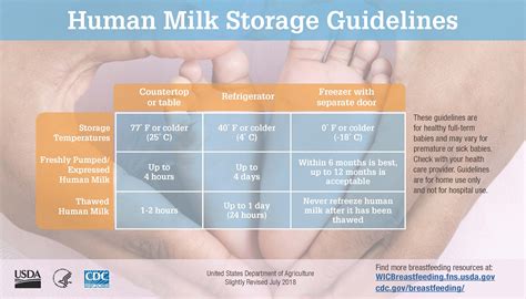 Cdc Human Milk Storage Hot Sex Picture