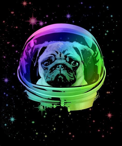 Space Pug Mixed Media By Filip Schpindel