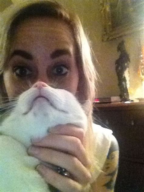 The 25 Most Epic Cat Beards Of All Time Buzzfeed Mobile Funny Cats In