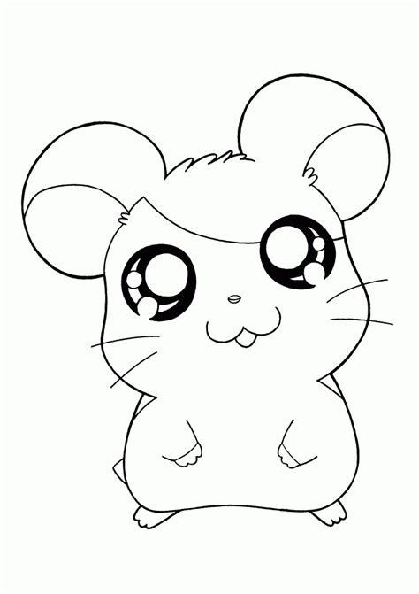 569x796 cute hamster coloring page animal pages. Cute Hamster Coloring Pages - Coloring Home