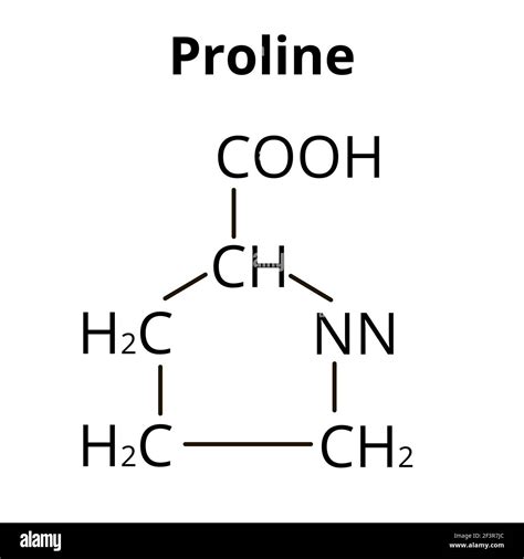 Amino Acid Proline Chemical Molecular Formula Proline Amino Acid