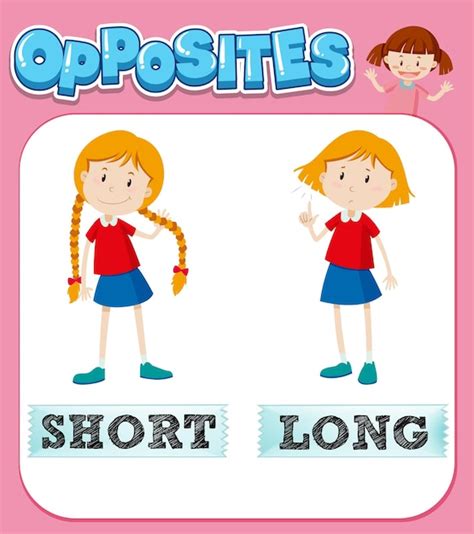 Free Vector Opposite Words For Short And Long