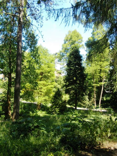 Auch diesen frühling sind wir für sie und ihren garten im einsatz. The old Botanical Gardens | Natural landmarks, Sightseeing ...