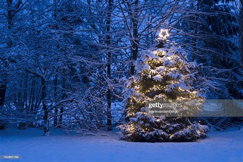 Christmas Tree With Lights In The Snow Stock Photo Getty