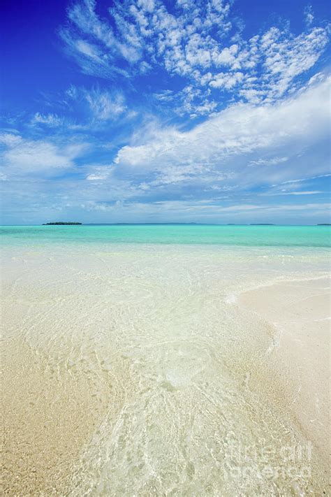 Pure Blue Bliss Photograph By Becqi Sherman Fine Art America