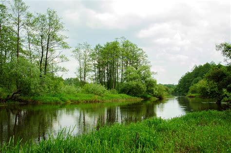 Summer Rivers Scenery Grass Trees Hd Wallpaper Rare Gallery