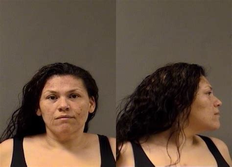 Woman Accused Of Selling Storing And Packaging Meth Admits Role In
