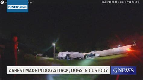 Rockport dog-mauling victim's parents sue canines' owners for $1M