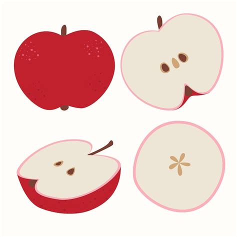 Premium Vector Stock Vector Illustration With Set Of Apples On A
