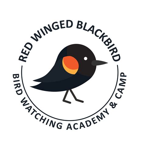 Red Winged Blackbird Png Transparent Png Mart