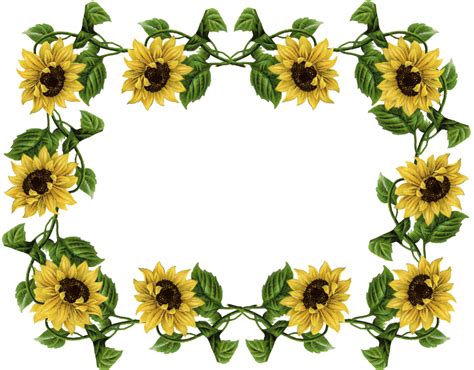 Free Free 332 Clipart Sunflower Jpg SVG PNG EPS DXF File