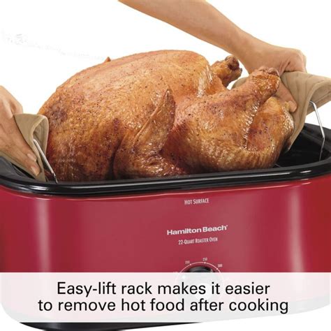 Turkey Cook Temp In Roaster Foodrecipestory