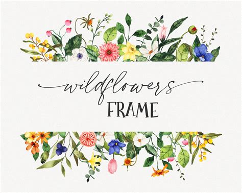 Floral Border Png Clipart Wildflower Frame Watercolor Wild Etsy