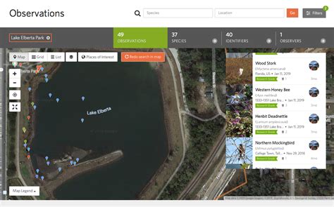A Screen Shot Of My Lake Elberta Observations Birds Are The Big
