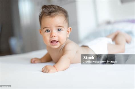 Cute Little Baby Boy Stock Photo Download Image Now Baby Human