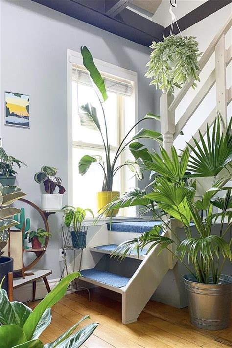 The Indoor Green Plants Design That Is Worth Collecting Cozy Living