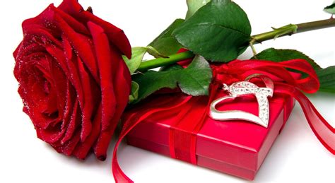 Free Download Red Rose Heart Love Flower Box Wallpaper 2560x1401