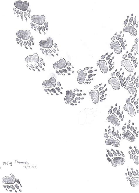 Panda Footprints By Chibi Neko101 On Deviantart