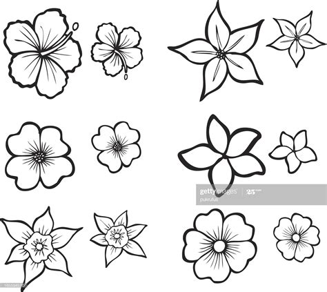 Illustrations Of Six Tropical Flowers Also Available In Full Color Blumen Skizzen Tropische