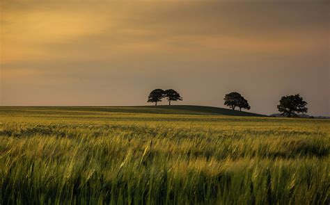Sunset Over The Field Of Grass Photograph By A Photo By Fletche Pixels