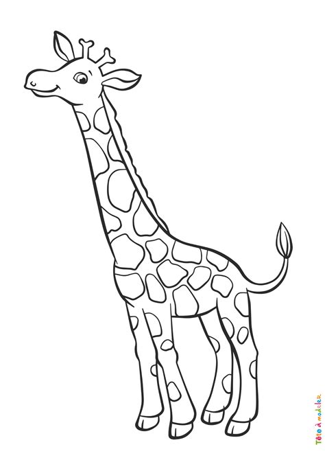 Coloriage Girafe 01 Un Dessin à Imprimer De Tête à Modeler