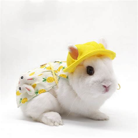 Pet Bunny Clothes Traction Rope Bunny Kitten Lop Eared Rabbit Etsy