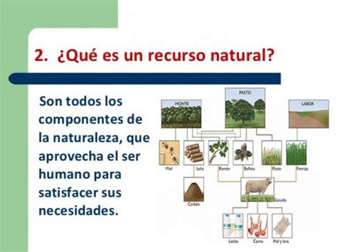 Recursos Naturales Renovables Y No Renovables Ecolog A Hoy