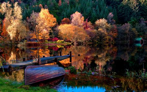 Wallpaper The Autumn Lake Forest Morning 2560x1600 Hd Picture Image
