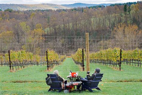 5 Incredible Middleburg Virginia Wineries That Wine Lovers Need To Visit