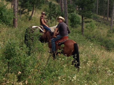 Montana Ranch Adventure Cattle Ranch Trailhead Trailmeister