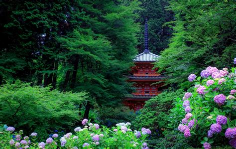None as of right now. Spring Garden in Japan 4k Ultra HD Wallpaper | Background Image | 4200x2650 | ID:848336 ...