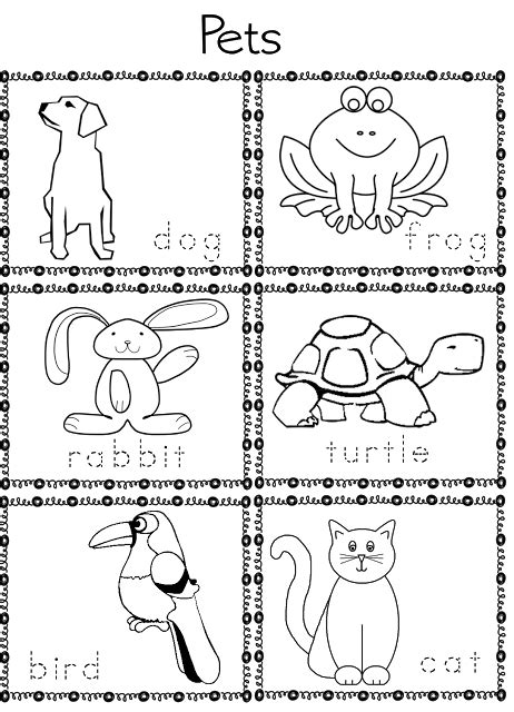 ESL Pet worksheets | Pets preschool, Pets preschool theme, Preschool activities