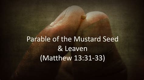 7 Proverbial Parables Parable Of The Mustard Seed And Leaven Youtube