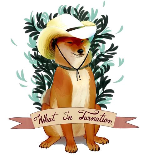 What In Tarnation Meme Discover More Interesting Animal Cowboy Cowboy