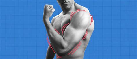 Does Flexing Build Muscle Heres What The Science Says