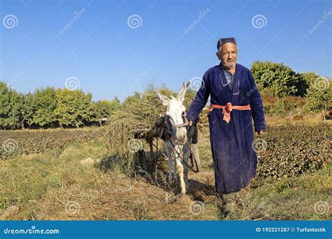 Uzbek Man In Agricultural Field Uzbekistan Editorial Photography Image Of Green Elder 192221287