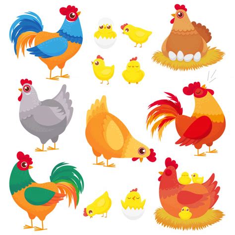 Coloriage poule et poussin poule 14 poules et poussins animaux a colorier coloriage animaux. Poulet Domestique Mignon, Poule D'élevage, Coq De Volaille ...